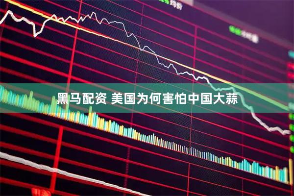 黑马配资 美国为何害怕中国大蒜
